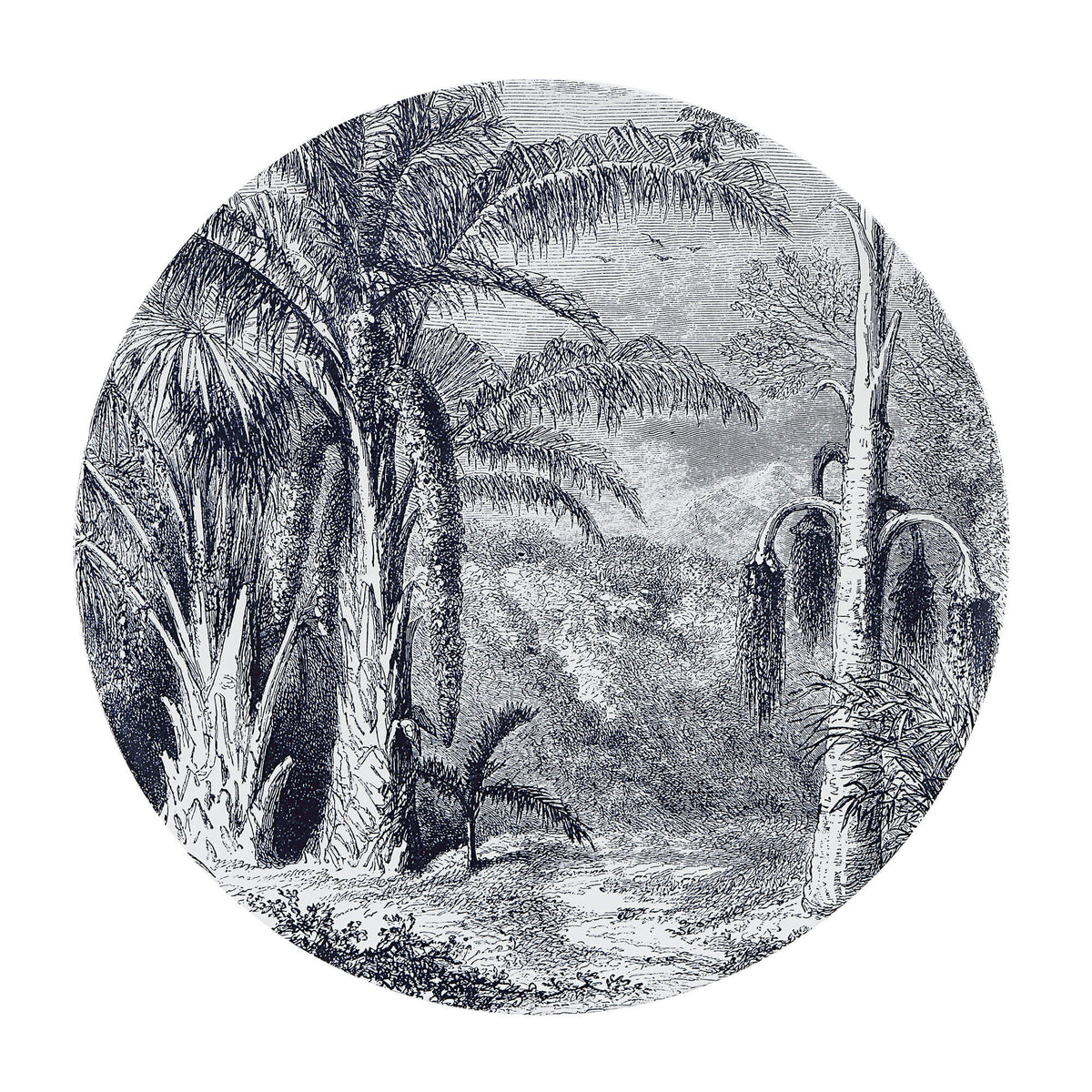RENWIL MALIYA DECORATIVE PLATES SET OF FIVE W6719