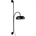 RENWIL  WS066  DRACO
