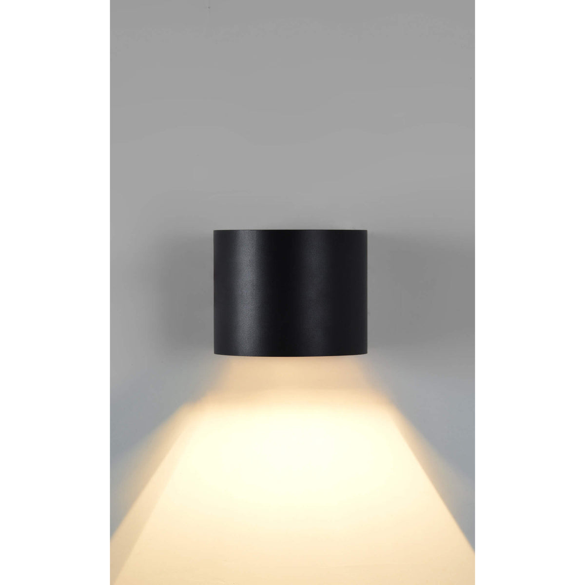 RENWIL LARK SCONCE WS113