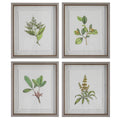 UTTERMOST WILDFLOWER STUDY FRAMED PRINTS  S/4 41461
