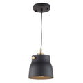 ARTCRAFT LIGHTING  Euro Industrial Pendant AC11361VB