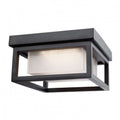 ARTCRAFT LIGHTING  Overbrook Outdoor Ceiling Light AC9136BK