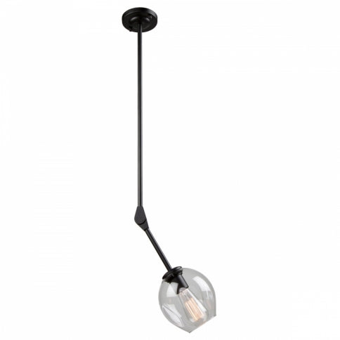ARTCRAFT LIGHTING  Organic Pendant JA14020BK