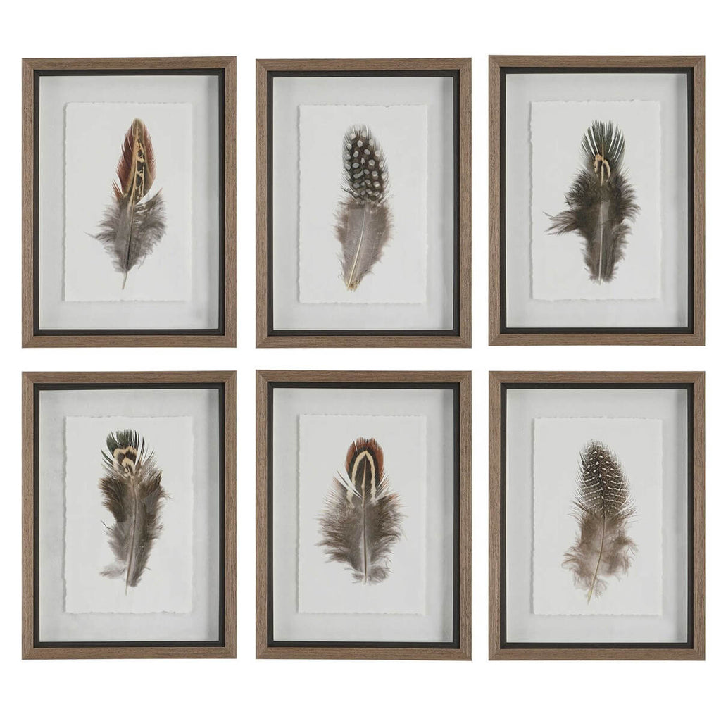 UTTERMOST BIRDS OF A FEATHER FRAMED PRINTS  S/6 41460