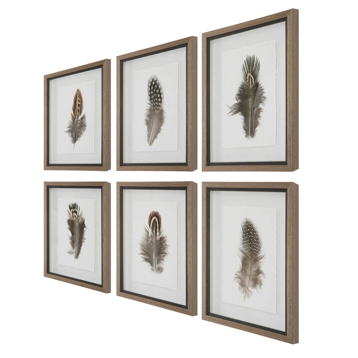UTTERMOST BIRDS OF A FEATHER FRAMED PRINTS  S/6 41460