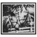 UTTERMOST APPLE OF MY EYE FRAMED PRINT 41465