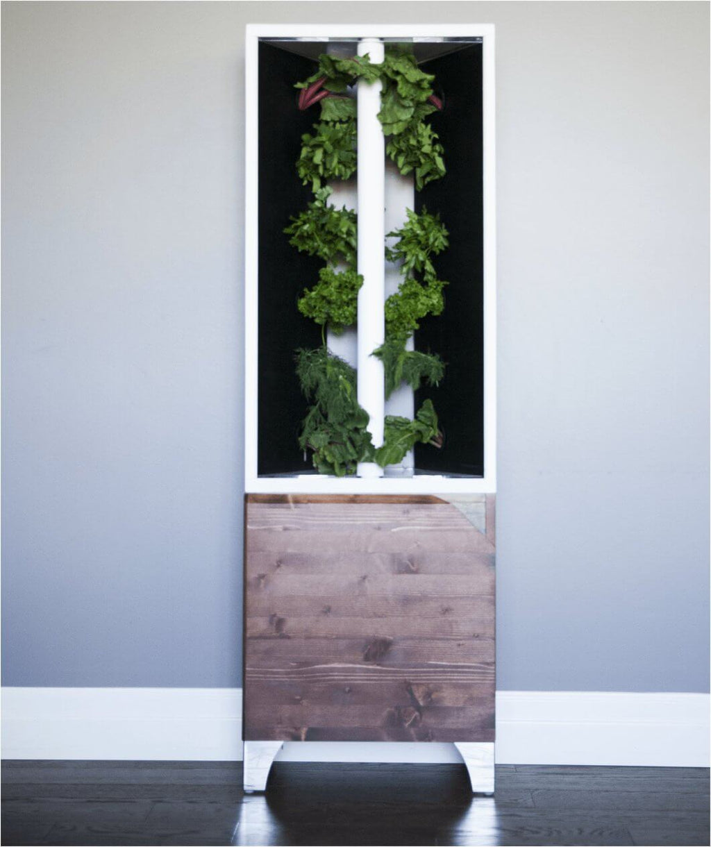 THE EVE INDOOR GARDEN