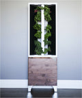 THE EVE INDOOR GARDEN