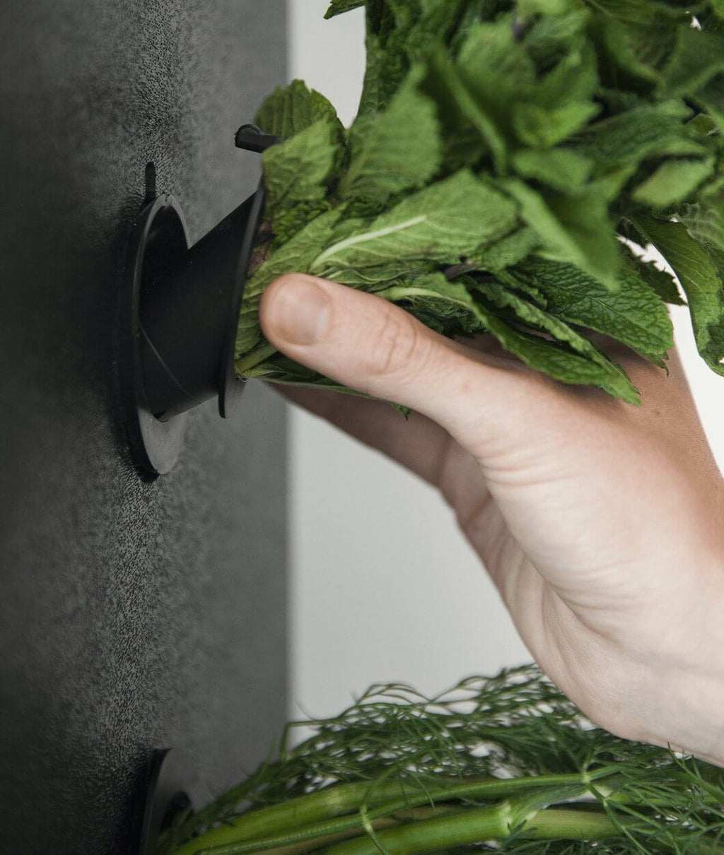 THE AEVA INDOOR GARDEN