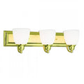 LIVEX LIGHTING  10503-02  Springfield  Bath Vanity