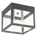 LIVEX LIGHTING  20588-76  Nyack Ceiling Mount
