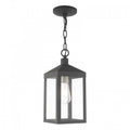 LIVEX LIGHTING  20591-76  Nyack Pendant Lantern