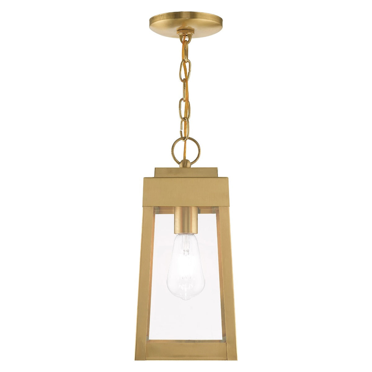 LIVEX LIGHTING  20854-12  Oslo Pendant Lantern