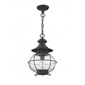 LIVEX LIGHTING  2225-07  Harbor  Outdoor Pendant Lantern