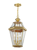 LIVEX LIGHTING  2365-02  Georgetown  Outdoor Pendant Lantern