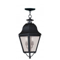 LIVEX LIGHTING  2546-04  Amwell  Outdoor Pendant Lantern