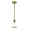 LIVEX LIGHTING  40210-01  Middlebush Mini Pendant