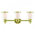 LIVEX LIGHTING  40213-02  Middlebush Bath Vanity
