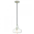 LIVEX LIGHTING  40605-91  Art Glass Mini Pendant