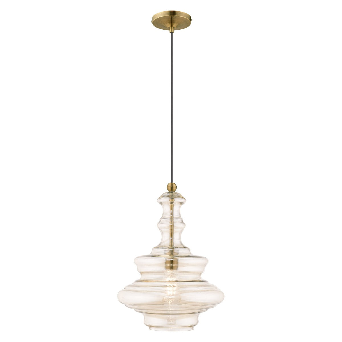 LIVEX LIGHTING  41224-01  Art Glass Mini Pendant