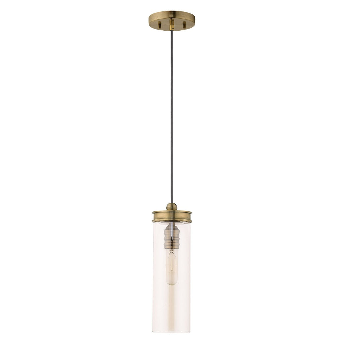 LIVEX LIGHTING  41227-01  Art Glass Mini Pendant
