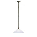 LIVEX LIGHTING  4251-01  North Port  Pendant