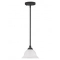 LIVEX LIGHTING   4256-04  North Port  Mini Pendant