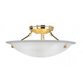 LIVEX LIGHTING  4274-02  Oasis  Ceiling Mount