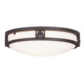 LIVEX LIGHTING 4487-07  Titania  Ceiling Mount