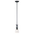LIVEX LIGHTING  4750-67 Brookside  Mini Pendant