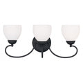 LIVEX LIGHTING  4753-04  Brookside  Bath Vanity