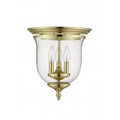 LIVEX LIGHTING  5021-02  Legacy  Ceiling Mount