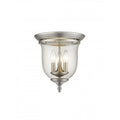 LIVEX LIGHTING   5021-91  Legacy  Ceiling Mount