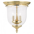 LIVEX LIGHTING   5024-02  Legacy  Ceiling Mount