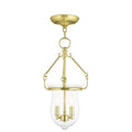 LIVEX LIGHTING  50294-02  Canterbury Pendant