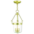 LIVEX LIGHTING  50482-02  Rockford  Pendant