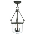 LIVEX LIGHTING  50484-07  Rockford Pendant