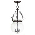 LIVEX LIGHTING  50505-67  Everett  Pendant