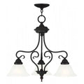 LIVEX LIGHTING  6133-07  Coronado  Lantern/ Ceiling Mount
