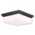 LIVEX LIGHTING  65537-92  Allure  Ceiling Mount