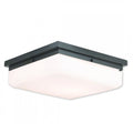 LIVEX LIGHTING  65538-92  Allure  Ceiling Mount