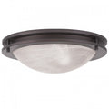 LIVEX LIGHTING  7058-07  Ariel  Ceiling Mount