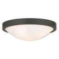 LIVEX LIGHTING  73952-07  New Brighton Ceiling Mount