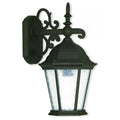LIVEX LIGHTING  75462-14  Hamilton  Outdoor Wall Lantern
