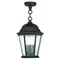 LIVEX LIGHTING  75469-14   Hamilton  Pendant Lantern