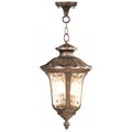 LIVEX LIGHTING  7665-50  Oxford  Outdoor Hanging