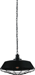 CWI LIGHTING  9611P18-1-101  Morgan 1 Light Down Pendant with Black finish