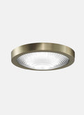 FANIMATION  LK6721BBS  SPITFIRE LIGHT KIT - Brushed satin brass